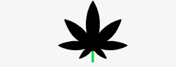 Hemp
